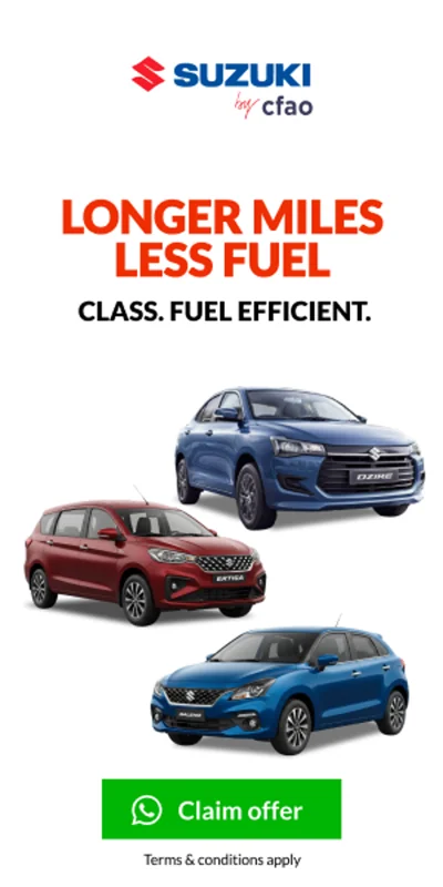 Suzuki campaign — group1 300x600